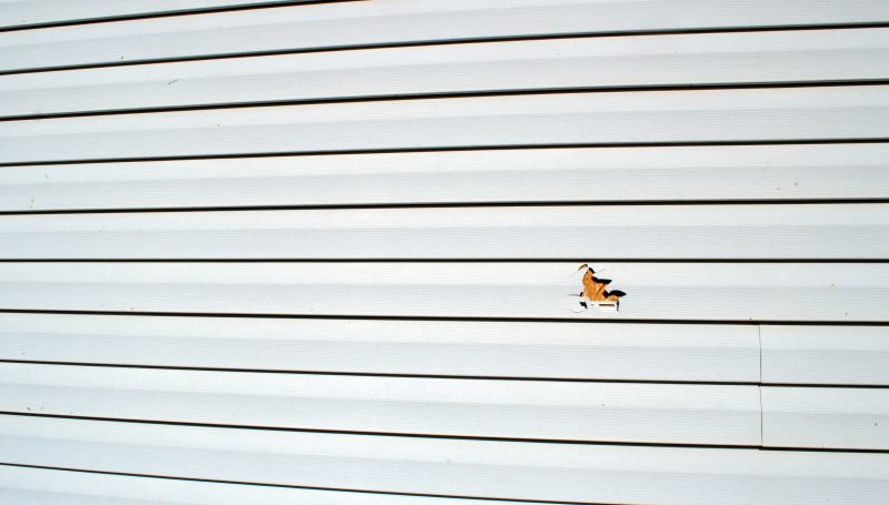 Vinyl Siding Repair Image 10