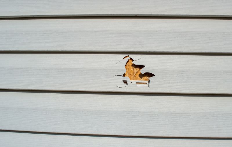 Vinyl Siding Repair Image 11